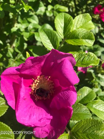 2540 Lord Baranof Drive, Anchorage, AK 99517