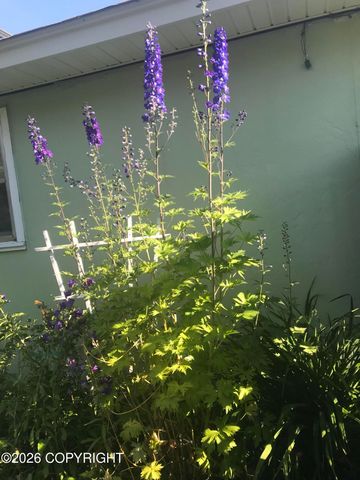 2540 Lord Baranof Drive, Anchorage, AK 99517