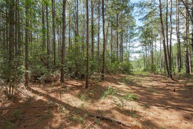 15831 Ridge Oak Road, Willis, TX 77378