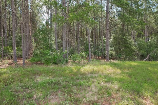 15831 Ridge Oak Road, Willis, TX 77378