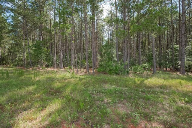 15831 Ridge Oak Road, Willis, TX 77378