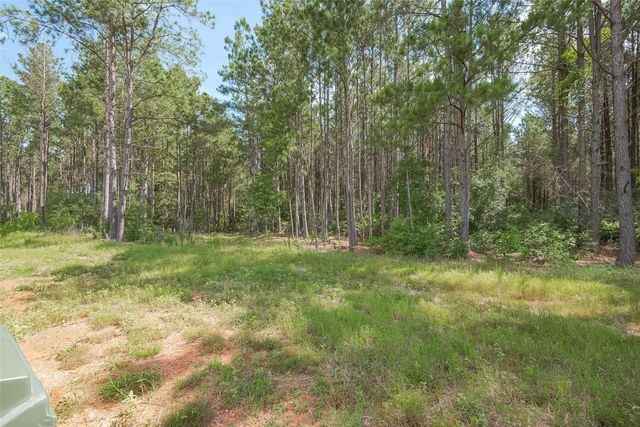 15831 Ridge Oak Road, Willis, TX 77378