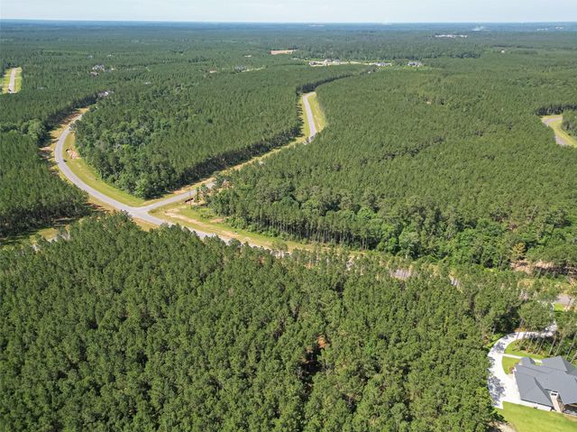 15831 Ridge Oak Road, Willis, TX 77378