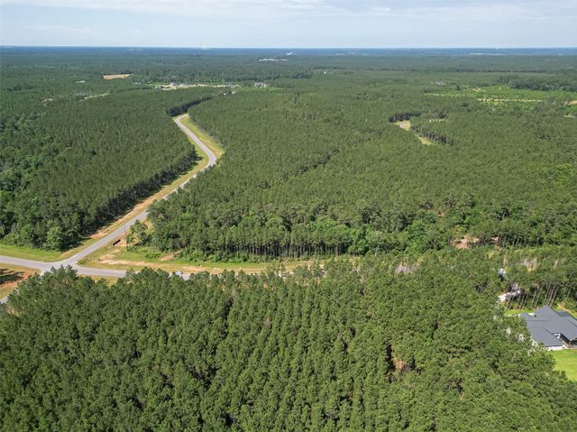 15831 Ridge Oak Road, Willis, TX 77378