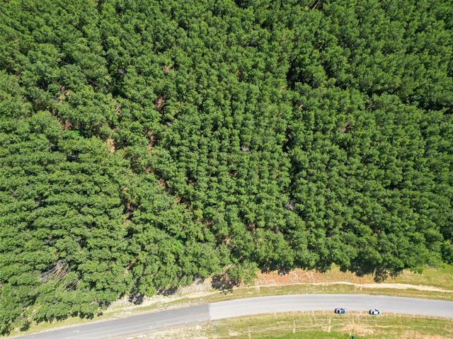 15831 Ridge Oak Road, Willis, TX 77378