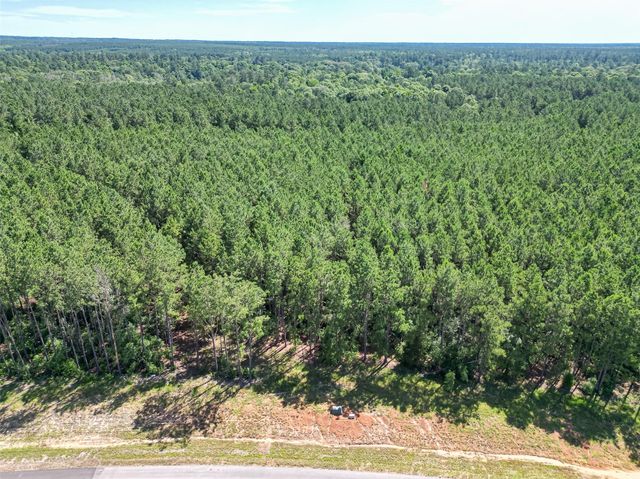 15831 Ridge Oak Road, Willis, TX 77378