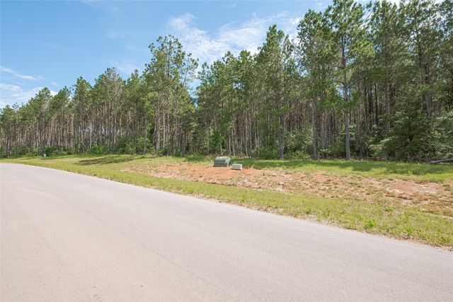 15831 Ridge Oak Road, Willis, TX 77378