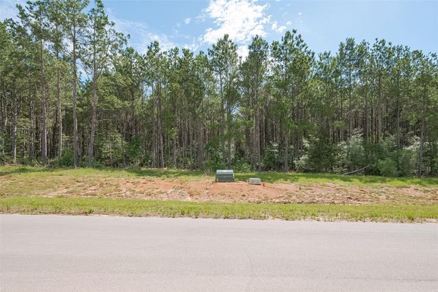 15831 Ridge Oak Road, Willis, TX 77378