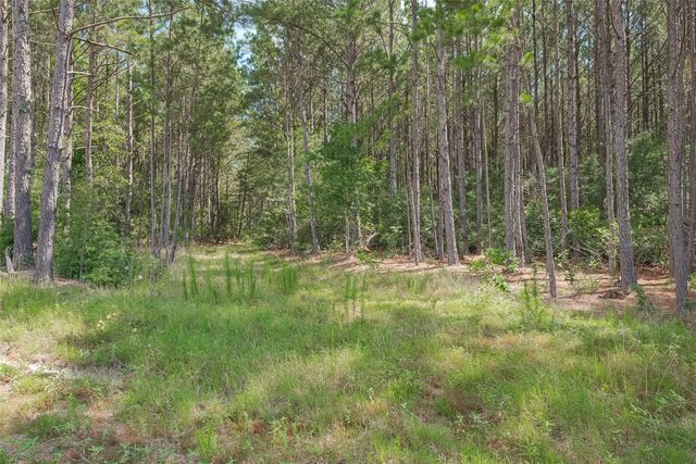 15831 Ridge Oak Road, Willis, TX 77378