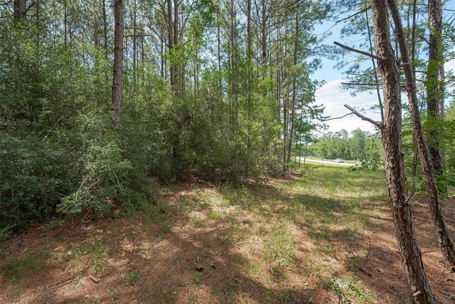 15831 Ridge Oak Road, Willis, TX 77378