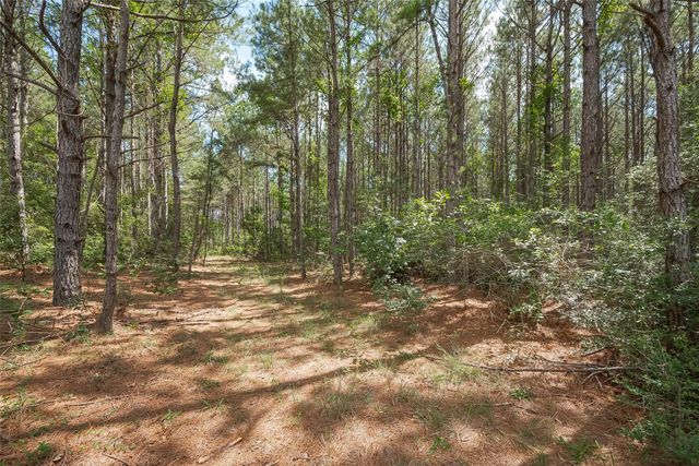 15831 Ridge Oak Road, Willis, TX 77378