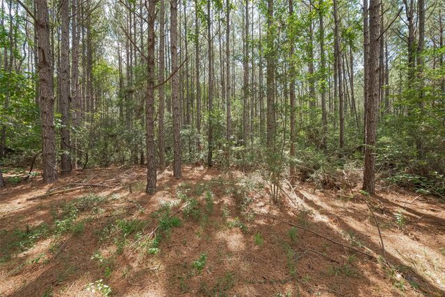 15831 Ridge Oak Road, Willis, TX 77378