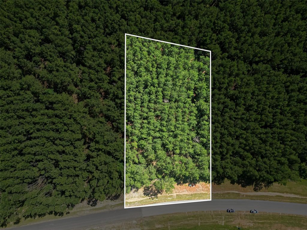 15831 Ridge Oak Road, Willis, TX 77378