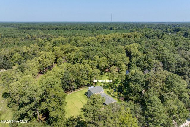 151 Pansy Lane, Hampstead, NC 28443