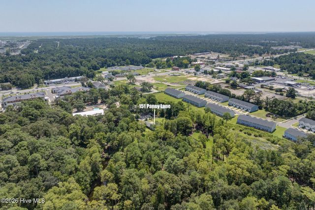 151 Pansy Lane, Hampstead, NC 28443