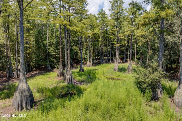 151 Pansy Lane, Hampstead, NC 28443