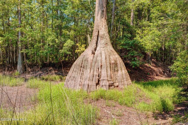 151 Pansy Lane, Hampstead, NC 28443