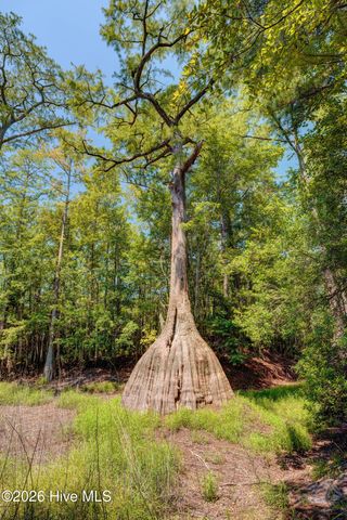 151 Pansy Lane, Hampstead, NC 28443