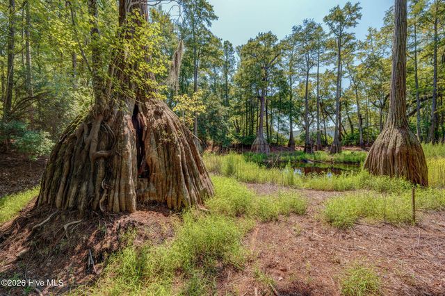 151 Pansy Lane, Hampstead, NC 28443