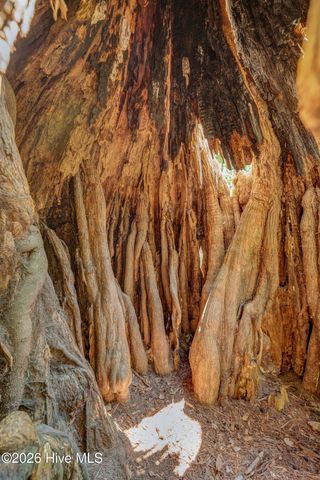 151 Pansy Lane, Hampstead, NC 28443