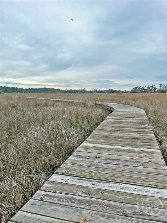 Image 25 of property listing at Tract 3 S Newport Drive NE, Townsend, GA 31331