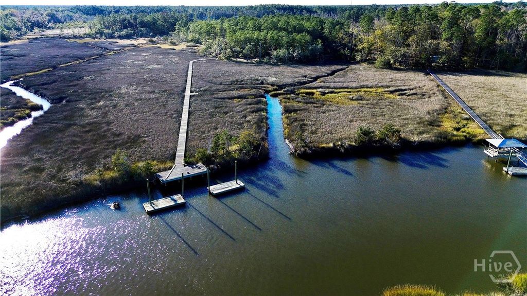 Image 74 of property listing at Tract 3 S Newport Drive NE, Townsend, GA 31331