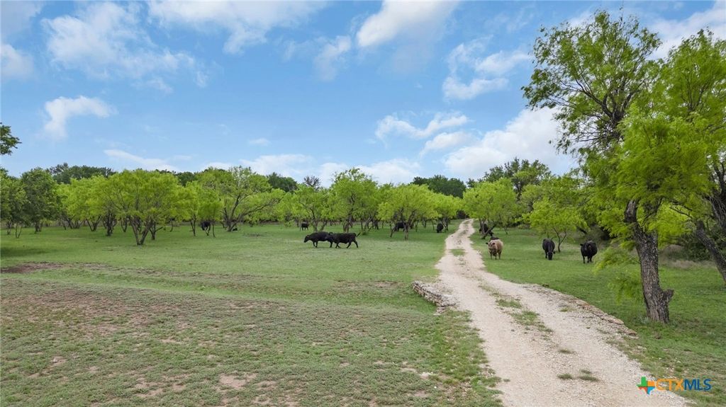 Image 14 of property listing at 11300 Fm 581, Lometa, TX 76853
