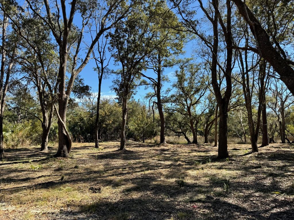 Image 18 of property listing at 32 Marsh Aire Lane, Edisto Island, SC 29438