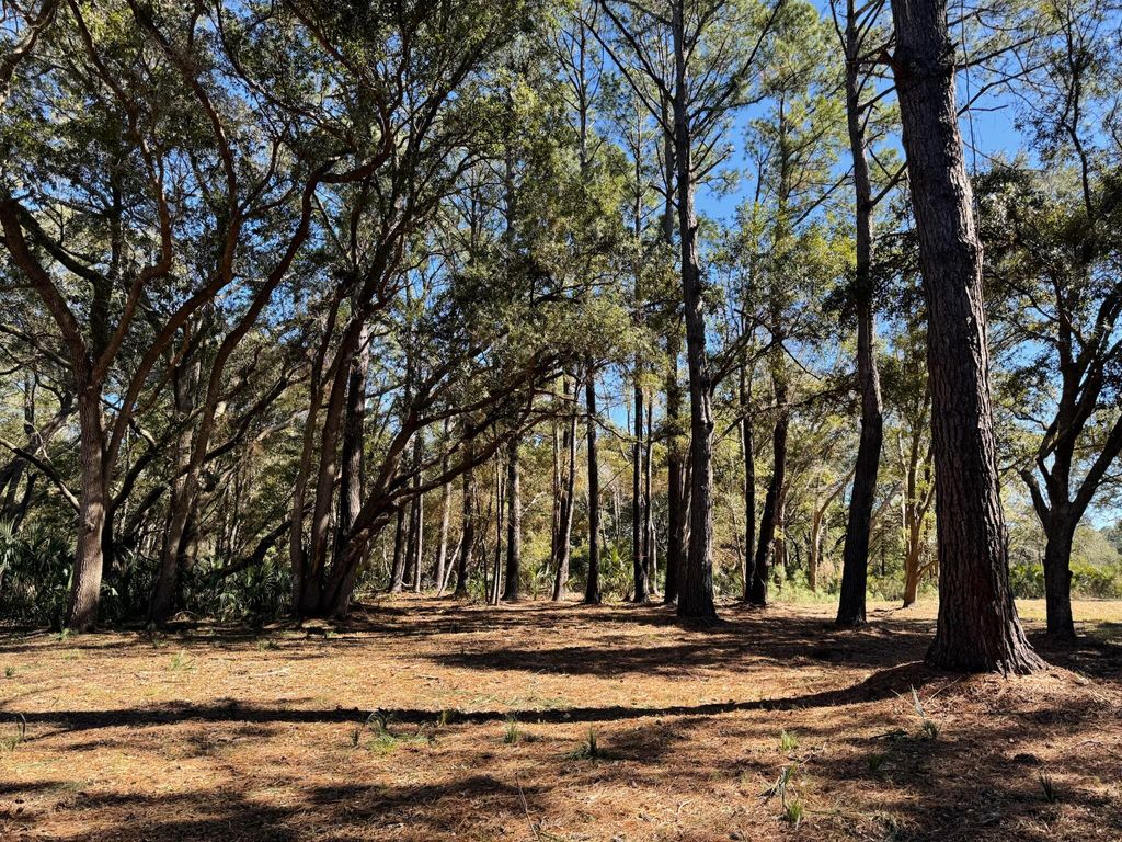 Image 24 of property listing at 32 Marsh Aire Lane, Edisto Island, SC 29438