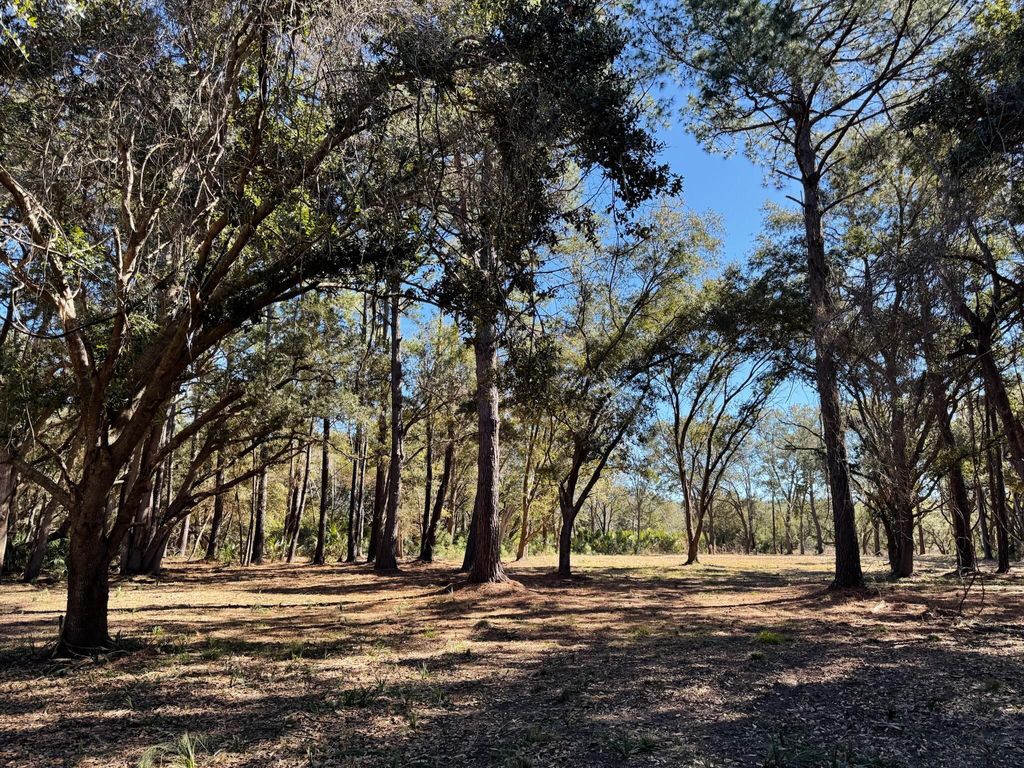 Image 25 of property listing at 32 Marsh Aire Lane, Edisto Island, SC 29438