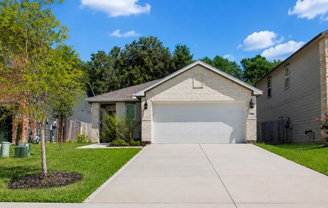 336 Willow Sage Court, Conroe, TX 77316