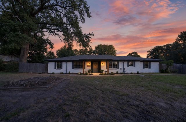 13618 -INDIAN DR, Tyler, TX 75709
