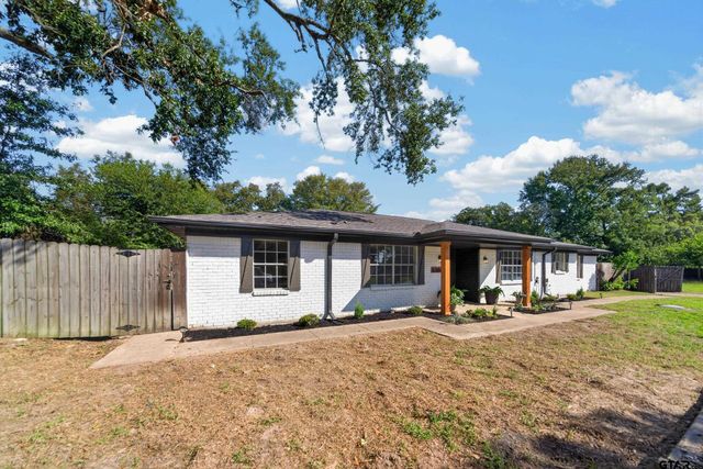 13618 -INDIAN DR, Tyler, TX 75709
