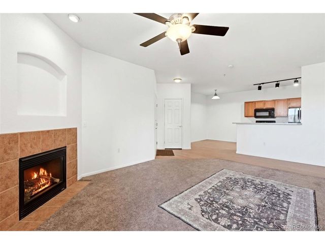 10733 S Twenty Mile Rd 203, Parker, CO 80134