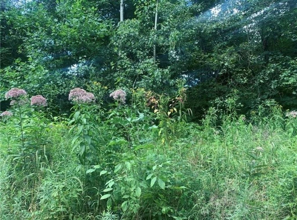 Lot 2b & 4 Vickerman Rd, E Lackawannock Twp, PA 16137