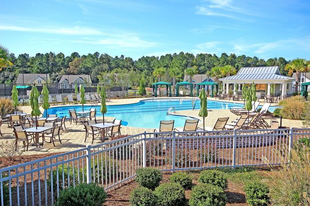4020 Wood Violet Lane, Summerville, SC 29483