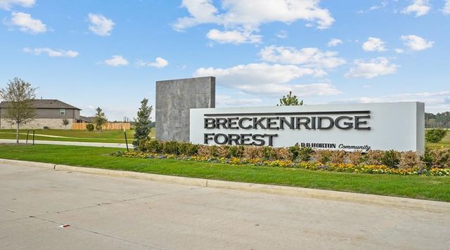 24323 Elmwood Falls Drive, Spring, TX 77373