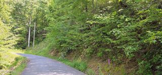 24 Sugar Maple Loop Rd, Sevierville, TN 37862