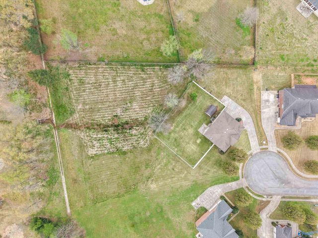 114 Berry Hill Drive, New Market, AL 35761