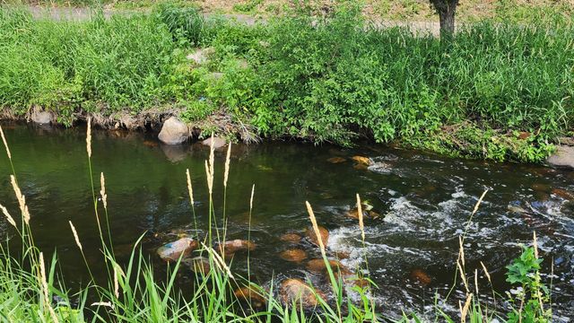 7370 Unity Lane N, Brooklyn Park, MN 55443