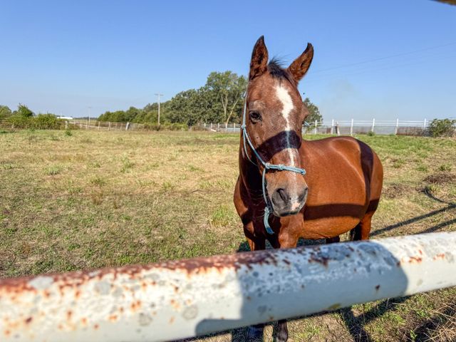 64 State Highway 215, Buffalo, MO 65622