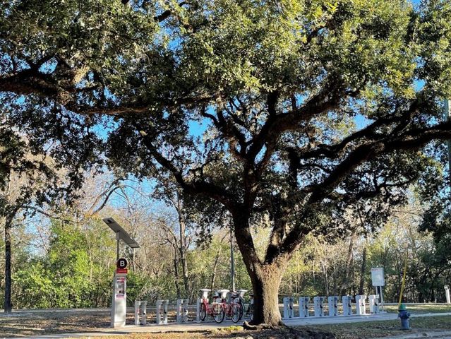 2727 Houston Avenue Avenue 205, Houston, TX 77009