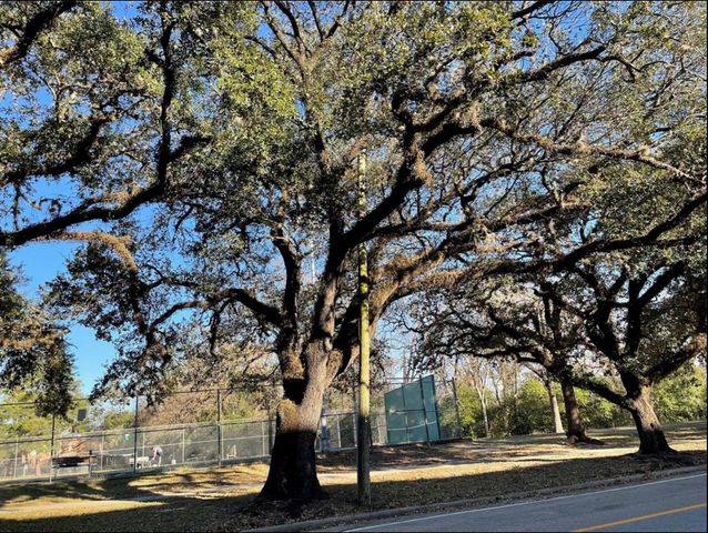 2727 Houston Avenue Avenue 205, Houston, TX 77009
