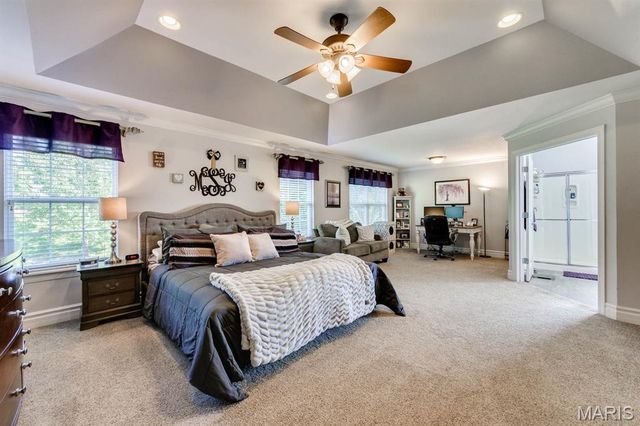 10 Deergrass Court, Oakville, MO 63129