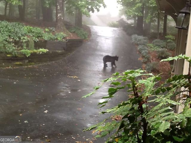 352 Sanderlin Mtn Drive, Big Canoe, GA 30143