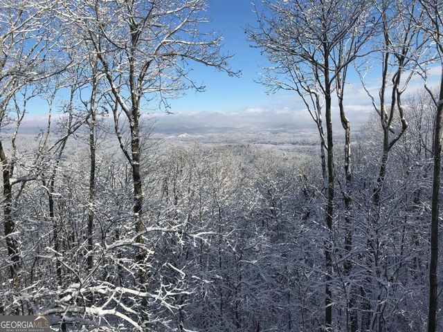 352 Sanderlin Mtn Drive, Big Canoe, GA 30143