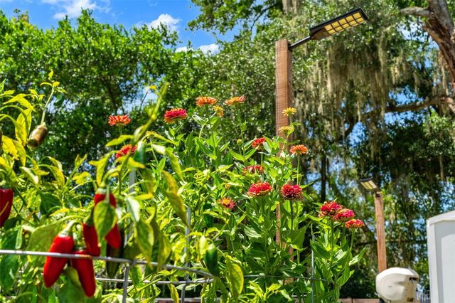 175 GRACE BOULEVARD, Altamonte Springs, FL 32714