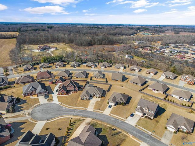14328 Water Stream Drive, Harvest, AL 35749