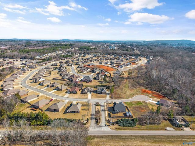 14328 Water Stream Drive, Harvest, AL 35749