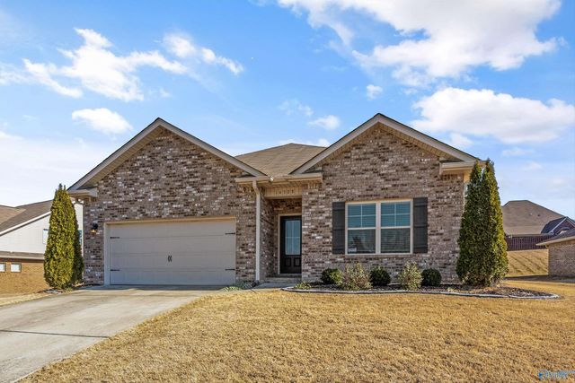 14328 Water Stream Drive, Harvest, AL 35749